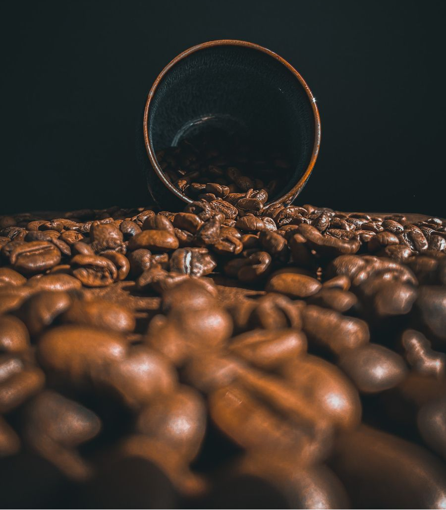 From Coffee Enthusiasts to STARSEEKER